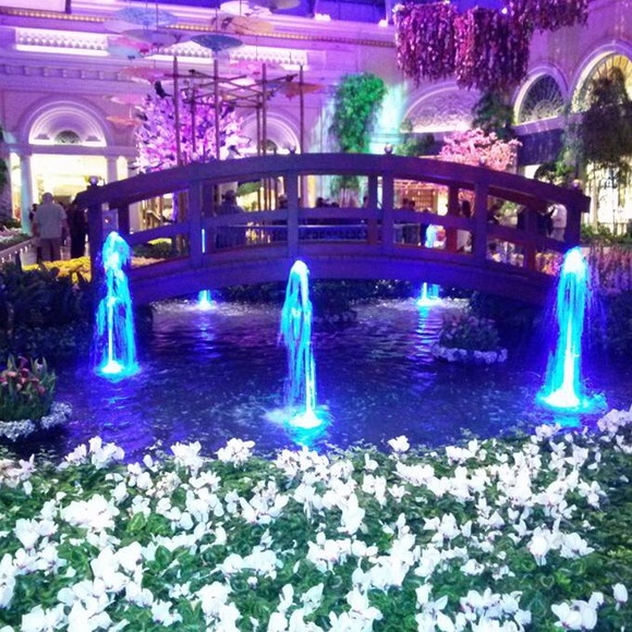 Meet your Posher, Marisol - Picture 1 of 1